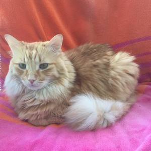 Meet your Posher, Quin